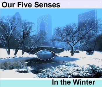 Preview of Our Five Senses During the Winter (Interactive SmartBoard Book with Sounds!)