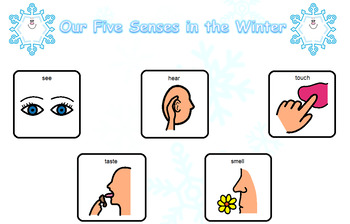 Preview of Our Five Senses in the Winter Language Board
