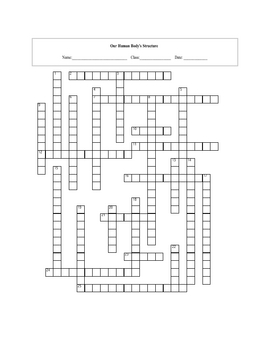 Our Human Body's Structure Crossword Puzzle with key by Maura & Derrick