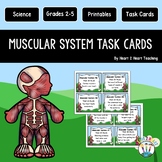 The Muscular System Activities: Task Cards {Set of 16 Cards}