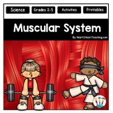 The Muscular System Activities Reading Passages Worksheets