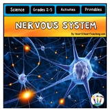 The Nervous System Activities Reading Passages Worksheets 