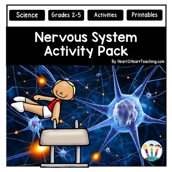 Preview of Our Nervous System Vocabulary Posters Bulletin Board Word Wall