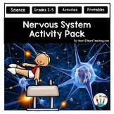 Our Nervous System Vocabulary Posters Bulletin Board Word Wall