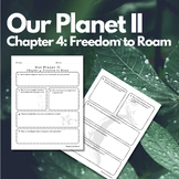 Our Planet II: Chapter 4 Questions (Freedom to Roam)