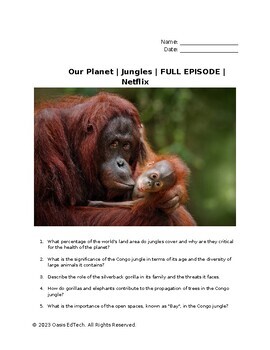 Our Planet Jungles Documentary Worksheet by Oasis EdTech TPT