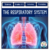 The Respiratory System Activities Reading Passages Workshe