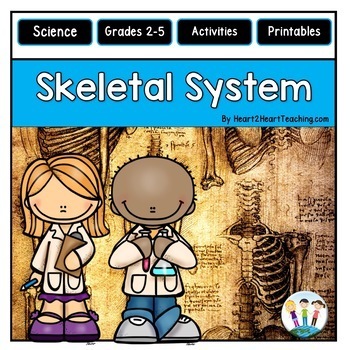 Preview of The Skeletal System Activities Reading Passages Worksheets Review Flip Book