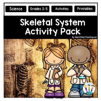 Preview of The Skeletal System Vocabulary Posters for Bulletin Board Word Wall
