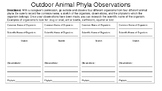 Outdoor Animal Phyla Observations