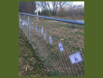 Preview of Outdoor Classroom Task: Teen Number Counting