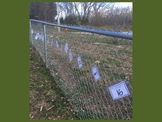 Outdoor Classroom Task: Teen Number Counting