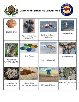 Preview of Outdoor Education - Torrey Pines State Natural Reserve Beach Scavenger Hunt