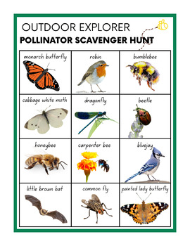 Preview of Outdoor Explorer Pollinator Scavenger Hunt
