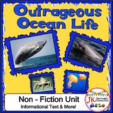Outrageous Ocean Life -Part 1 - Non-fiction Unit for 1st a