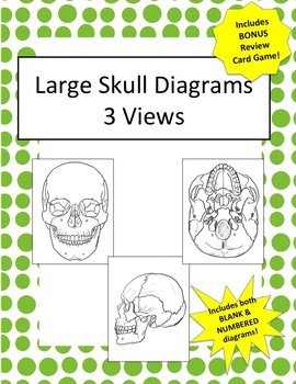 Preview of Oversized Skull Diagrams- 3 Views! Includes 2 Versions + Bonus Review Game!!
