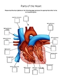 Overview of the Heart
