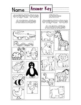 Oviparous Animal Sorting Activity Freebie With a Follow Up Worksheet