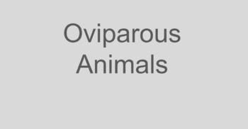 Preview of Oviparous Animals