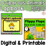 Oviparous Animals Activities Interactive Notebook Digital 