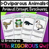 Oviparous Animals - Animal Groups and Animal Classificatio
