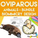 Oviparous Animals  | Biomimicry Design STEAM Compatible with NGSS
