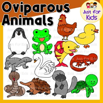 Oviparous Animals Clip Art Teaching Resources | TPT