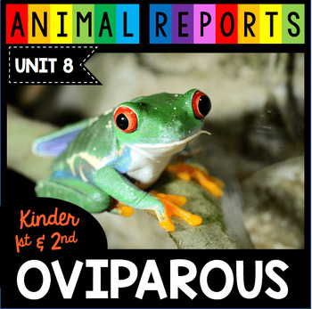 Preview of Oviparous Animal Reports Amphibians Snakes Reptiles Nonfiction Reading Writing