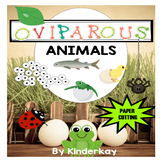 Oviparous Animals - Let's Make a Book using Paper Cutting Skills