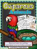 Oviparous Animals Real Pictures for Sorting, Printables an