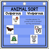 Oviparous Animals Sort