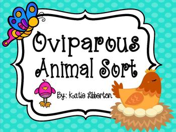 Preview of Oviparous Animals Sort