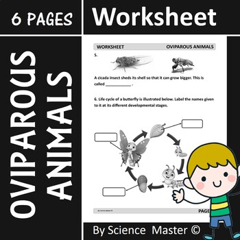 Oviparous Animal Worksheets Teaching Resources | TPT