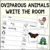 Oviparous Animals Write The Room