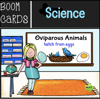 Preview of Oviparous | BOOM CARDS | Distance Learning