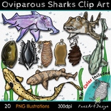 Oviparous Shark & Egg Interactive ClipArt, Realistic Anima