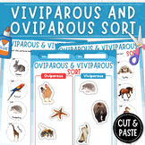 Oviparous and Viviparous Animal Sorting Activity | Real Pi