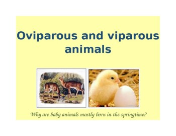Oviparous and Viviparous Animals by Naida Tokaca | TPT