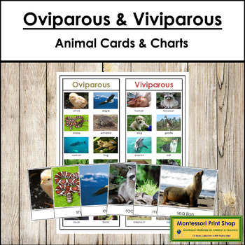 Preview of Oviparous & Viviparous Animals - Sorting Cards & Control Chart