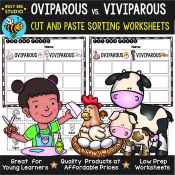 Oviparous Viviparous Teaching Resources | TPT