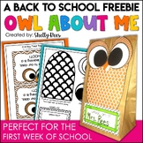 All About Me Activity - A FREE Back to School Activity