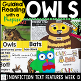 Owl Activities Nonfiction Text Features Comprehension Unit