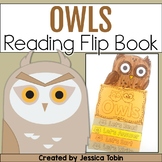 Owl Activities - Owls Reading and Writing Flip Book with Craft