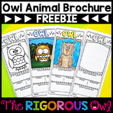 Owl Animal - Research Brochure FREEBIE