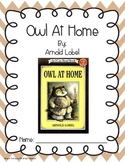 Owl At Home Book Guide