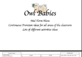 Owl Babies planning, Continuous Provision , activities , E
