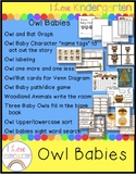 Owl Baby Unit