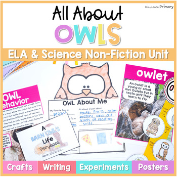 Preview of Owl Bird Science Unit - Reading & Writing Activities - Fall Fact Project & Craft