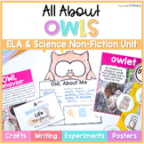 Owl Bird Science Unit - Reading & Writing Activities - Fal