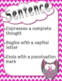 Owl & Chevron Themed Sentence Posters-Statement, Question,